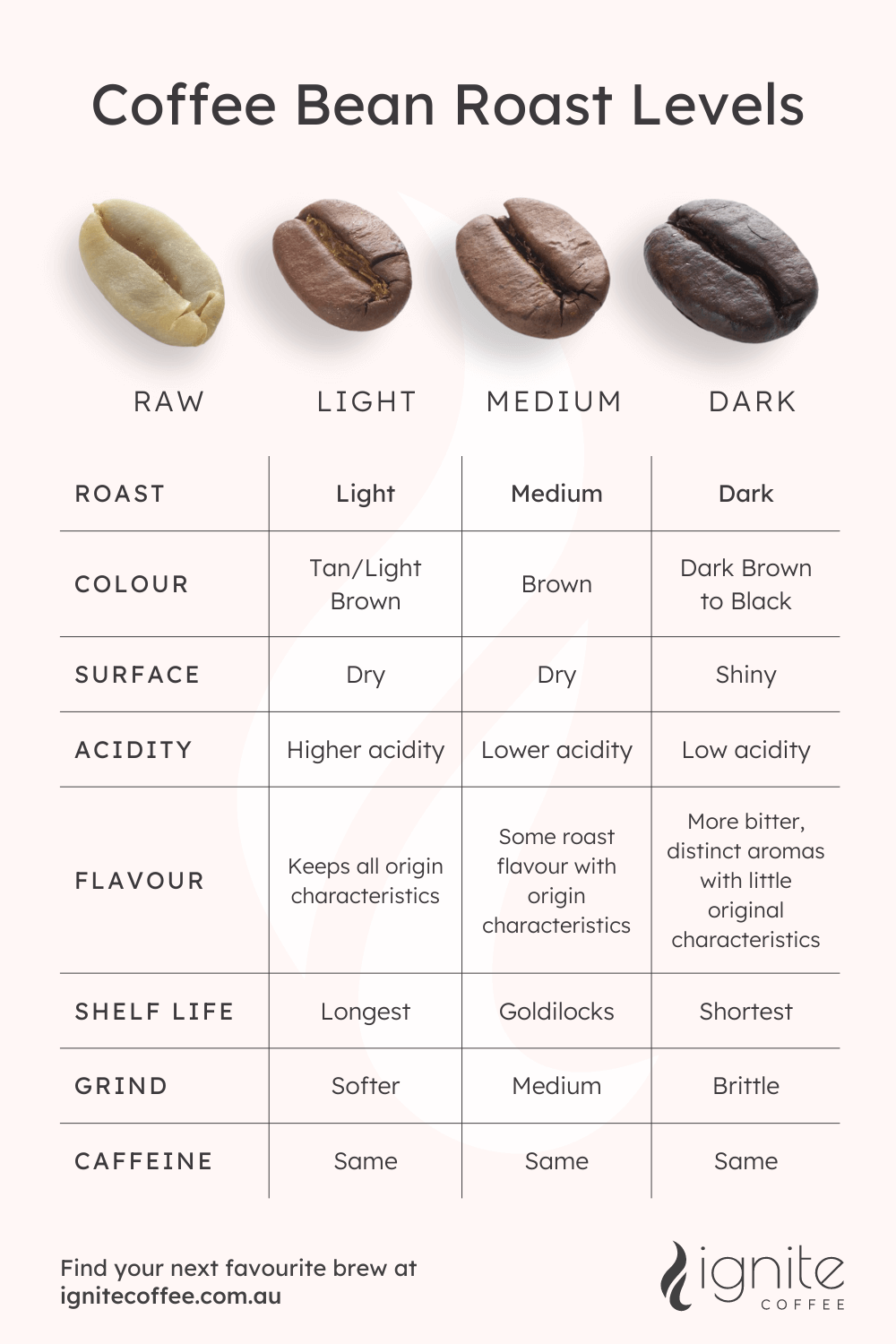 Coffee roast levels comparison