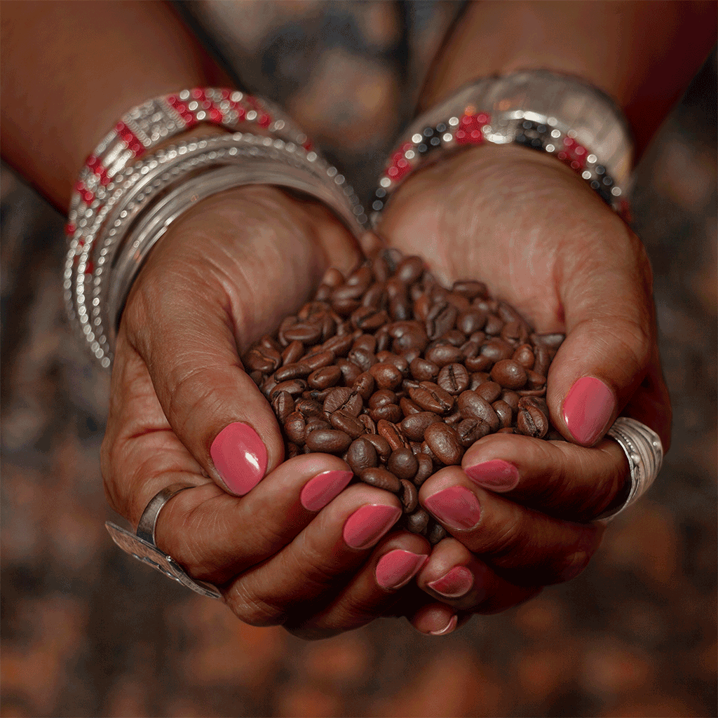 High quality roasted coffee beans in hands